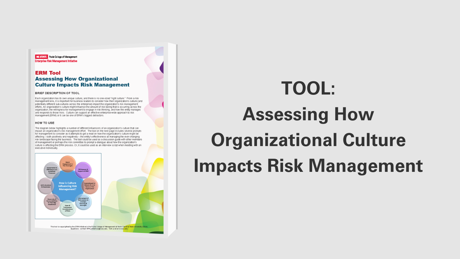 Assessing How Org Culture Impacts Risk Mgt