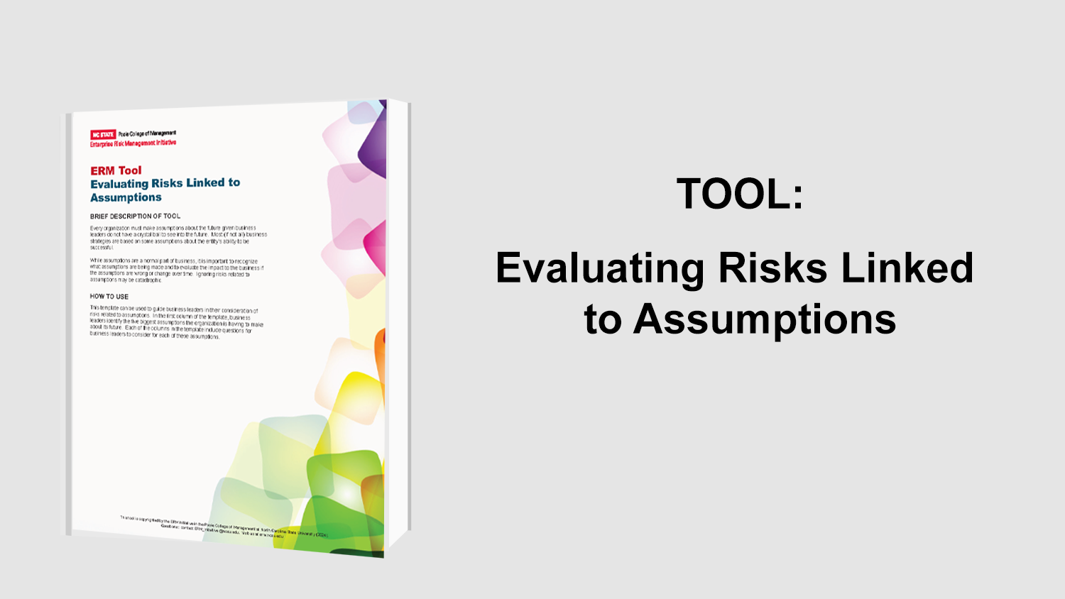 Evaluating Risks Linked To Assumptions