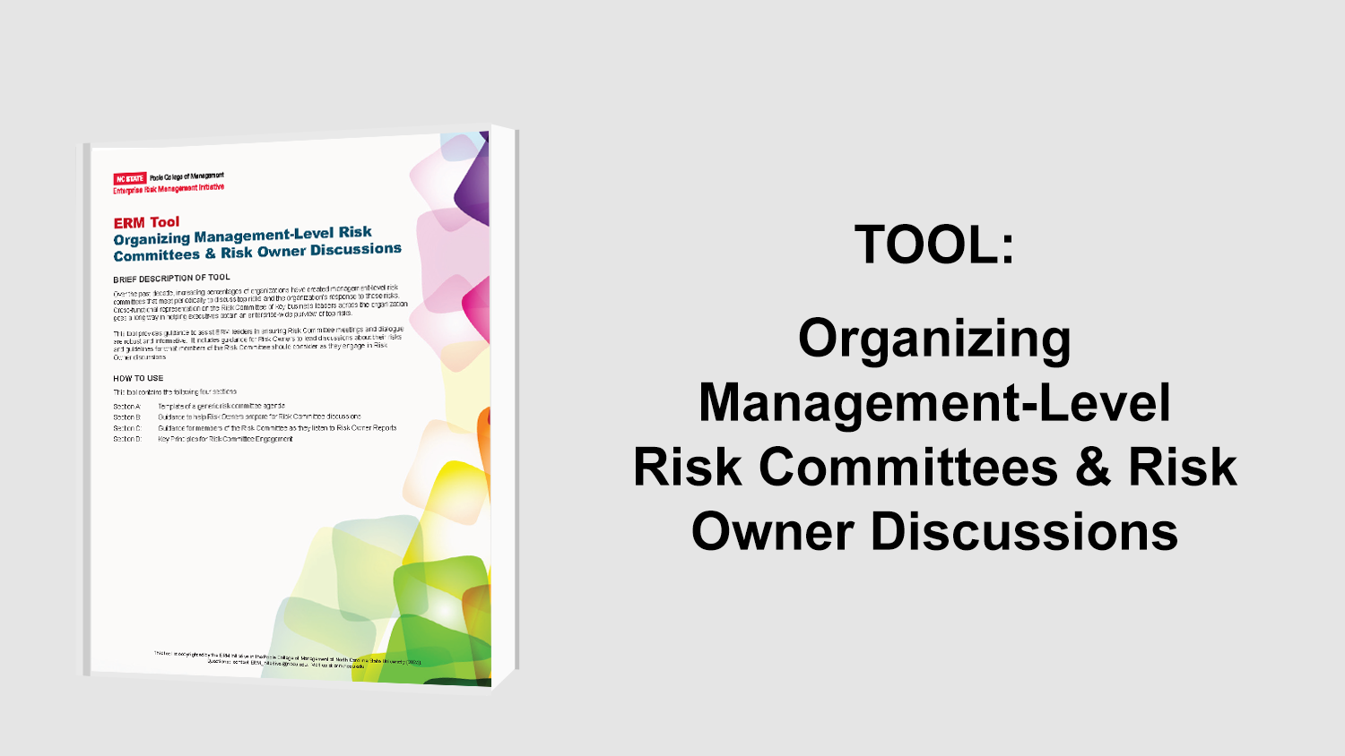 Organizing Management Level Risk Committees &amp; Risk Owner Discussions