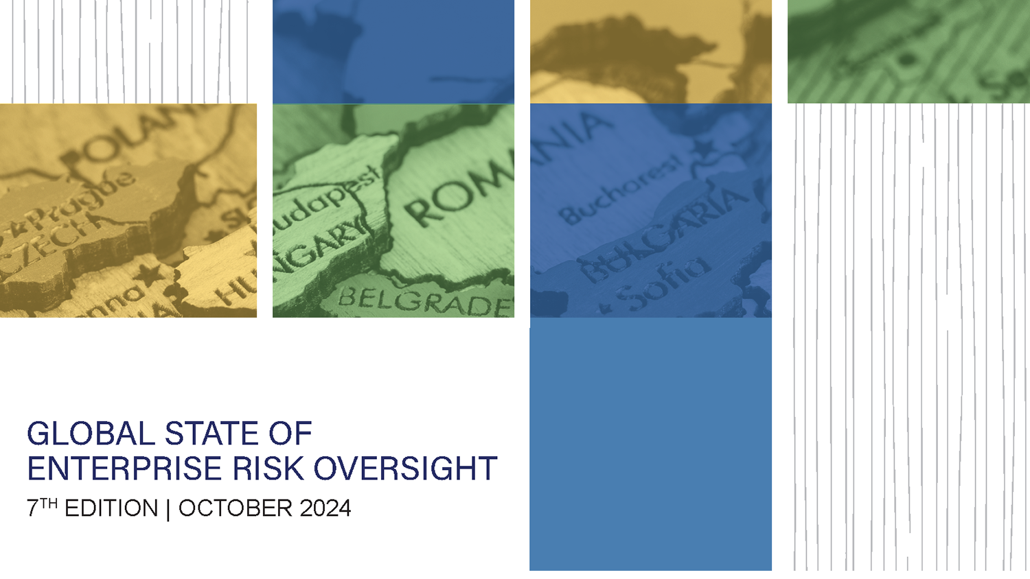 cover fo 2024 global risk oversight