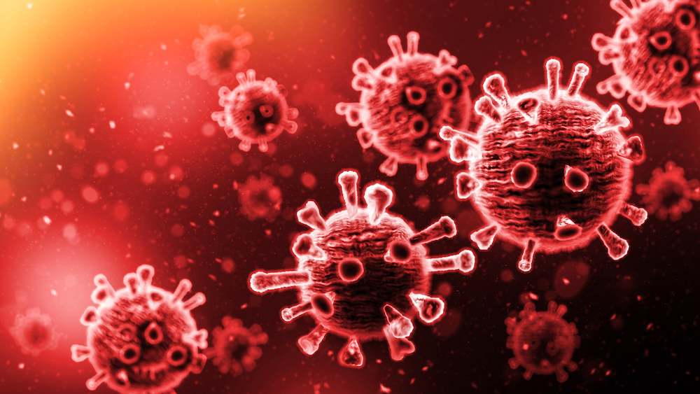 image of virus