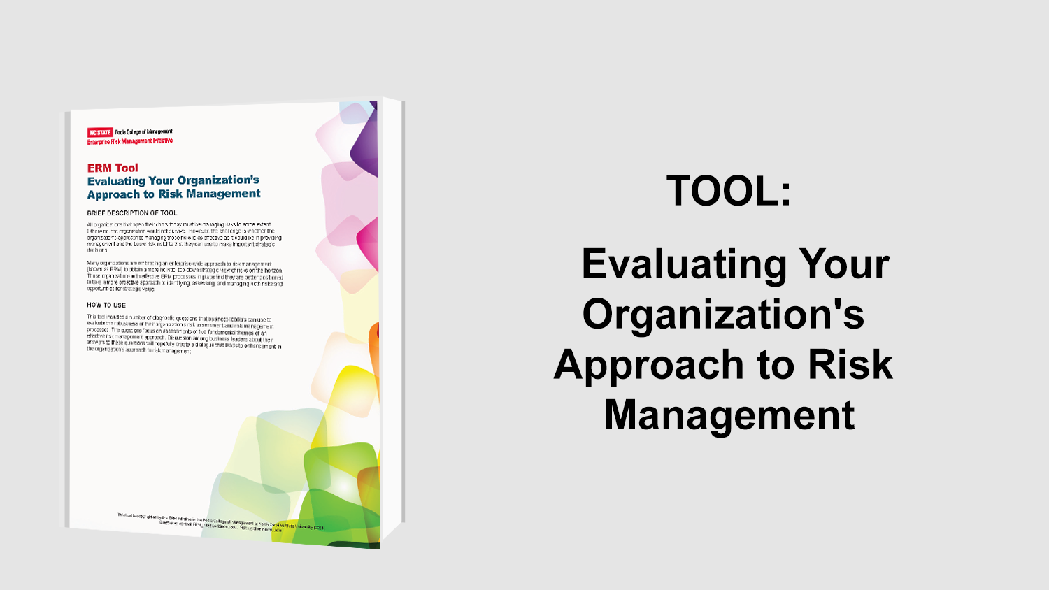 ERM tool cover with booklet image and colorful abstract design.